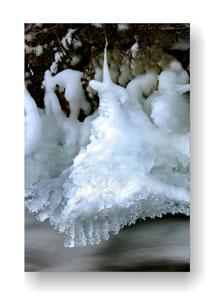 DER MIT DER K&Auml;LTE TANZT