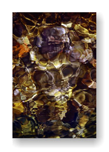 FANTASTIC BEASTS AND WHERE TO FIND THEM