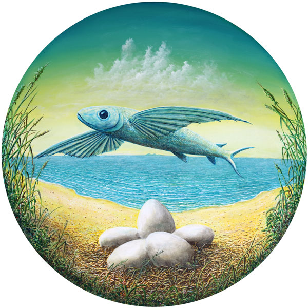 weiter / go on / on continue