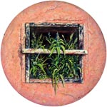 Vergr&ouml;&szlig;ern - Enlarge - Agrandir: Studie - Study - &Eacute;tude &copy;ph