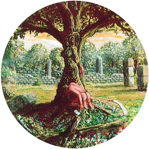 Zur&uuml;ck / Back / En arri&egrave;re: Daphne &copy;ph