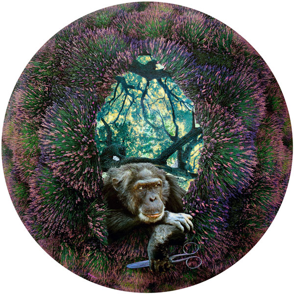 weiter / go on / on continue