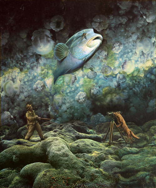 weiter / go on / on continue