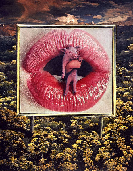 weiter / go on / on continue