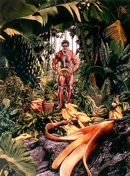 weiter / go on / on continue