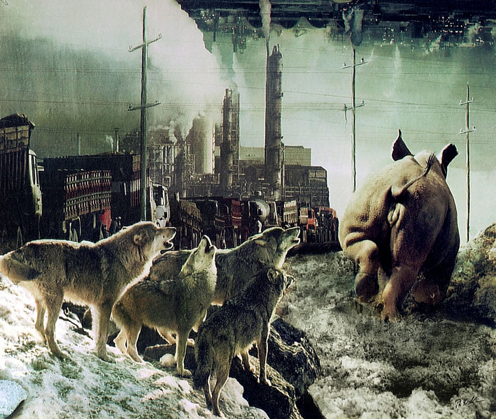 weiter / go on / on continue