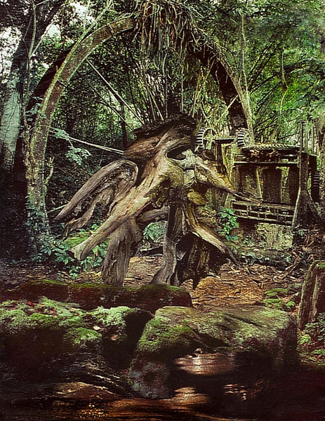 weiter / go on / on continue