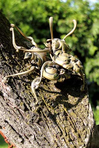 go on Carpet Crawlers