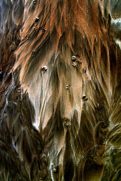 Zur&uuml;ck - Back - En arri&egrave;re: Fotografie - Photographic - Photographie