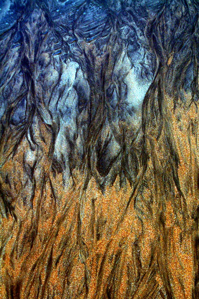 Zur&uuml;ck - Back - En arri&egrave;re: Fotografie - Photographic - Photographie