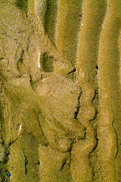 Zur&uuml;ck - Back - En arri&egrave;re: Fotografie - Photographic - Photographie