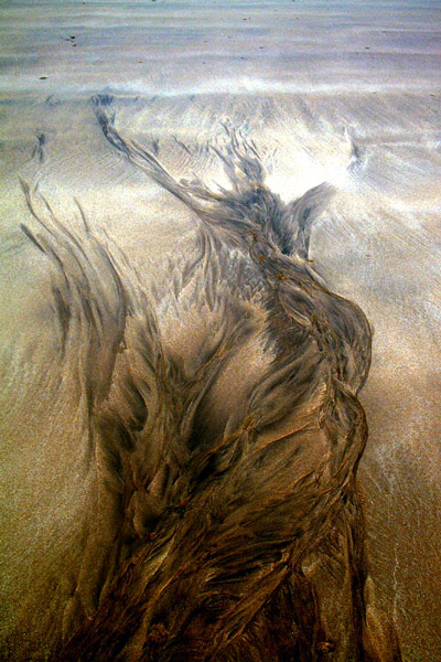 Zur&uuml;ck - Back - En arri&egrave;re: Fotografie - Photographic - Photographie