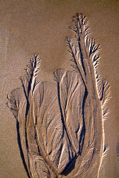 Zur&uuml;ck - Back - En arri&egrave;re: Fotografie - Photographic - Photographie