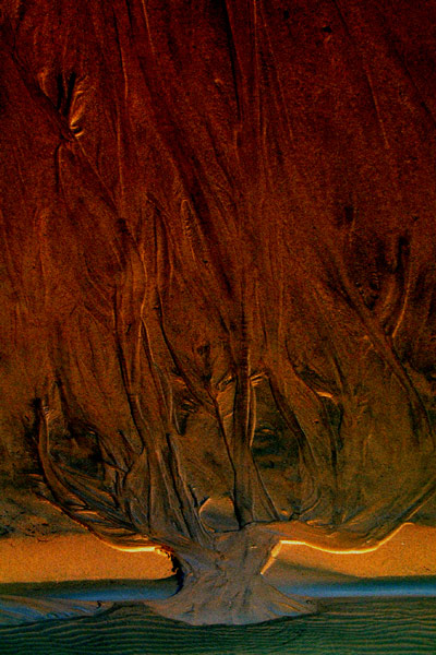 Zur&uuml;ck - Back - En arri&egrave;re: Fotografie - Photographic - Photographie