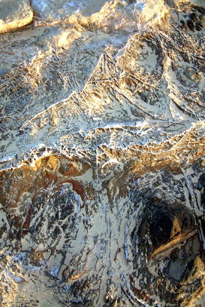 Zur&uuml;ck - Back - En arri&egrave;re: Fotografie - Photographic - Photographie