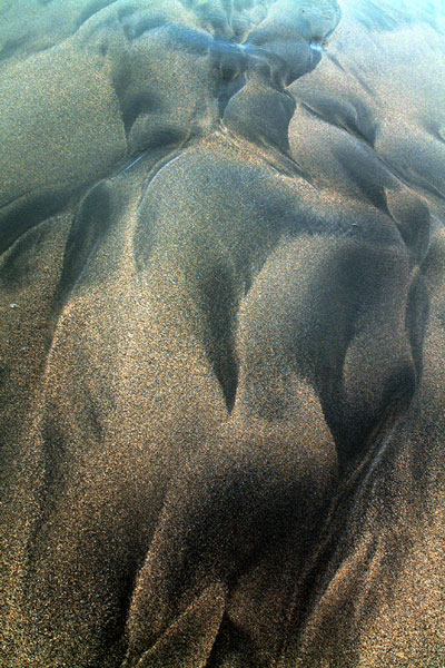 Zur&uuml;ck - Back - En arri&egrave;re: Fotografie - Photographic - Photographie