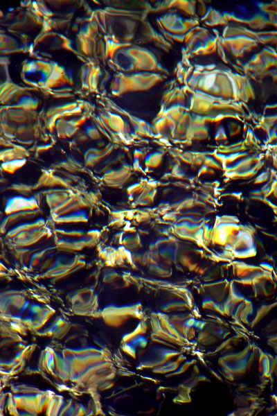 Zur&uuml;ck - Back - En arri&egrave;re: Fotografie - Photographic - Photographie