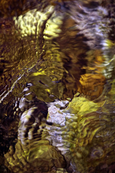 Zur&uuml;ck - Back - En arri&egrave;re: Fotografie - Photographic - Photographie