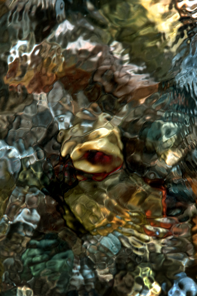 Zur&uuml;ck - Back - En arri&egrave;re: Fotografie - Photographic - Photographie