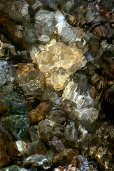 Zur&uuml;ck - Back - En arri&egrave;re: Fotografie - Photographic - Photographie