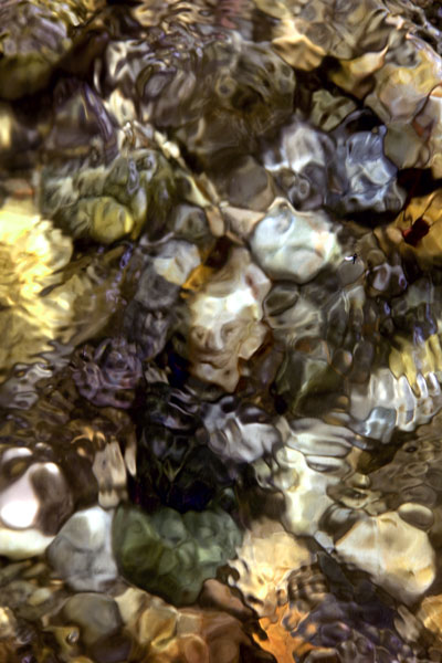 Zur&uuml;ck - Back - En arri&egrave;re: Fotografie - Photographic - Photographie