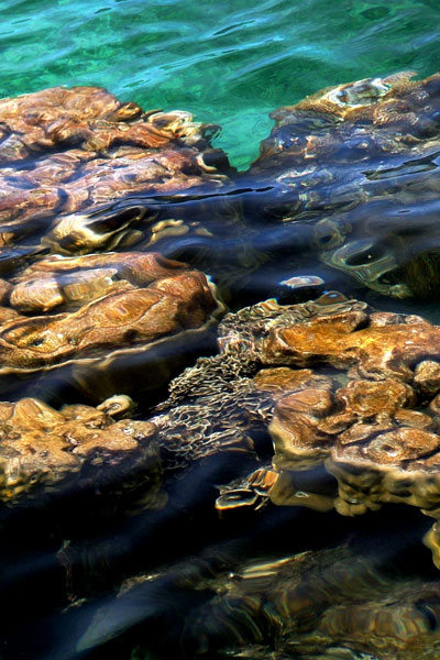 Zur&uuml;ck - Back - En arri&egrave;re: Fotografie - Photographic - Photographie