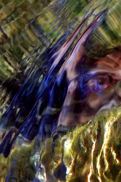 Zur&uuml;ck - Back - En arri&egrave;re: Fotografie - Photographic - Photographie