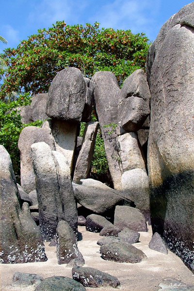 weiter / go on / on continue