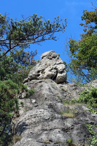 weiter / go on / on continue