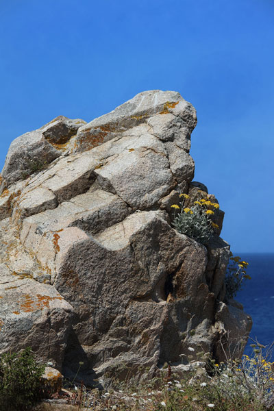 weiter / go on / on continue