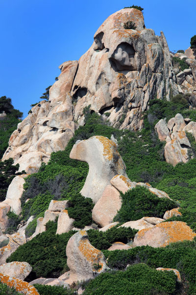 weiter / go on / on continue