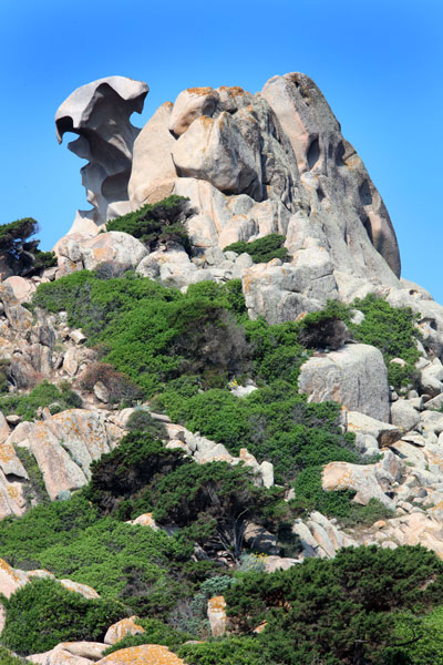 weiter / go on / on continue