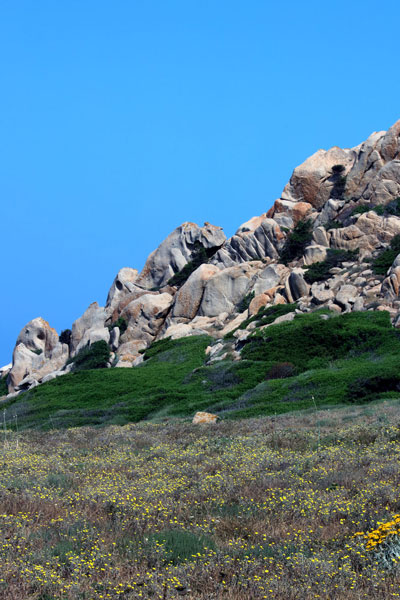 weiter / go on / on continue