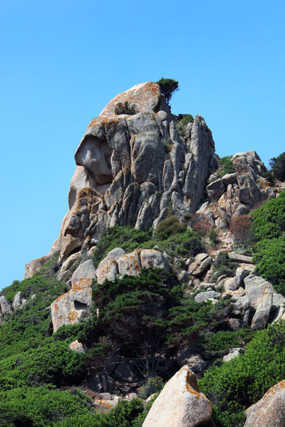 weiter / go on / on continue