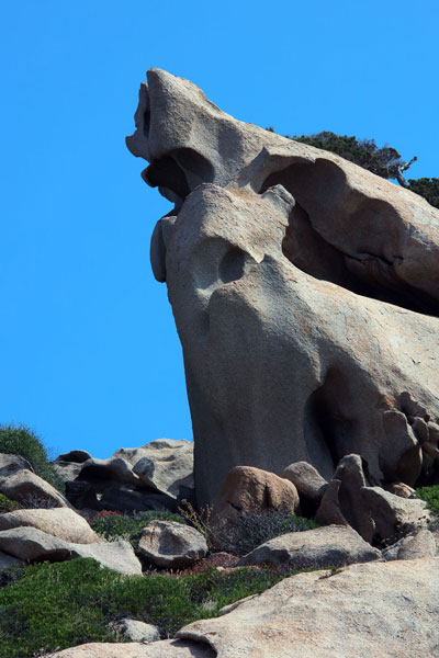 weiter / go on / on continue