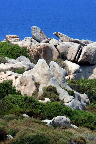 weiter / go on / on continue