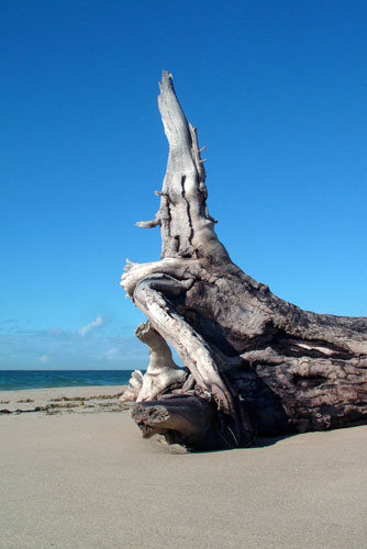 weiter / go on / on continue