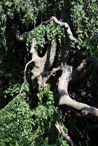 weiter / go on / on continue