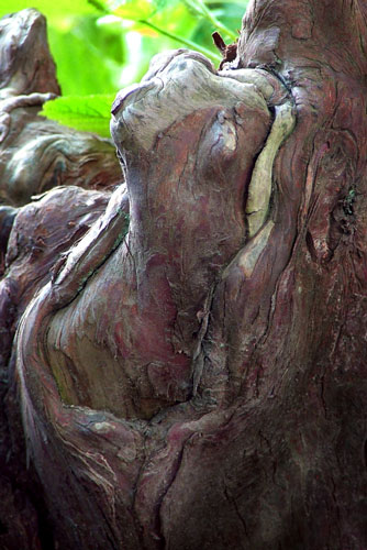 weiter / go on / on continue