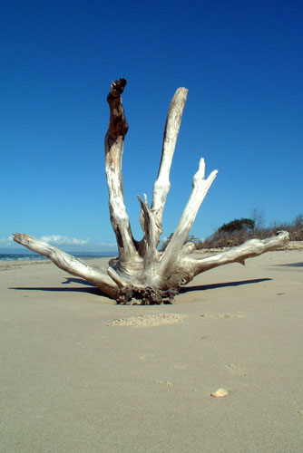 weiter / go on / on continue