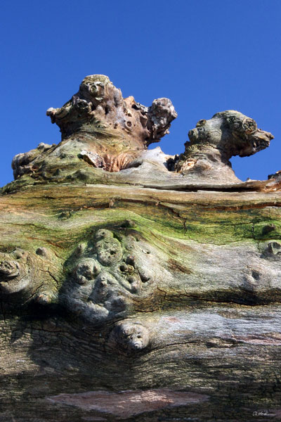 weiter / go on / on continue