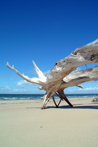 weiter / go on / on continue