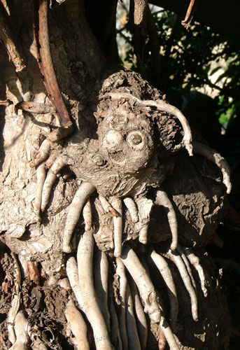 weiter / go on / on continue