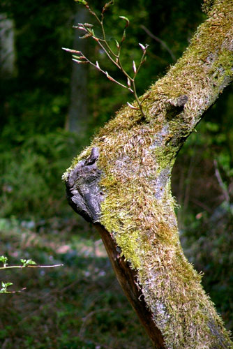 weiter / go on / on continue