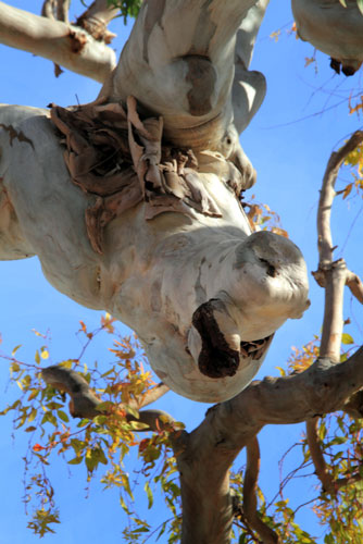 weiter / go on / on continue