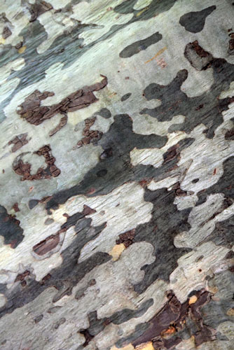 weiter / go on / on continue