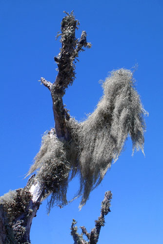 weiter / go on / on continue