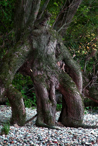 weiter / go on / on continue