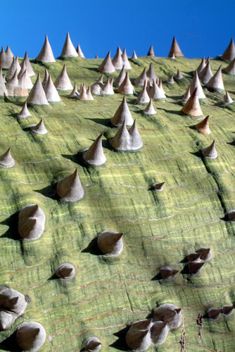 weiter / go on / on continue