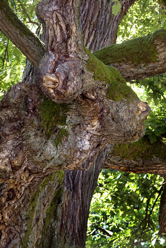 weiter / go on / on continue